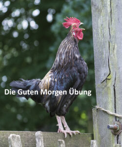 cover page Guten morgen übung